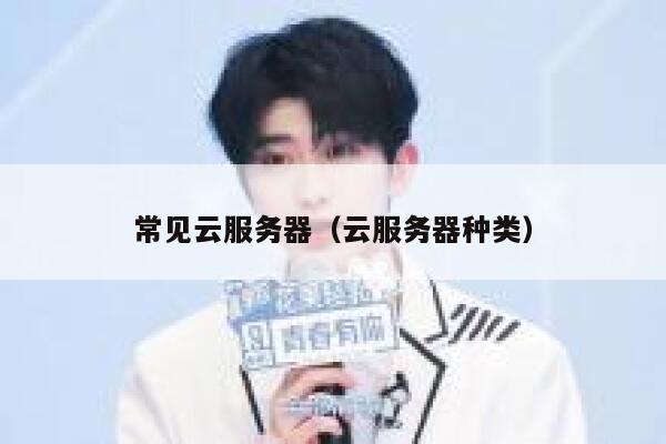 常见云服务器（云服务器种类） 第1张