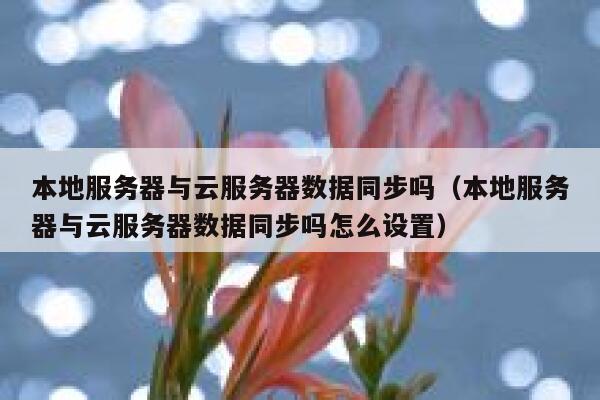 本地服务器与云服务器数据同步吗（本地服务器与云服务器数据同步吗怎么设置） 第1张