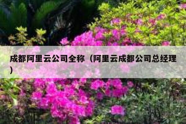 成都阿里云公司全称（阿里云成都公司总经理） 第1张