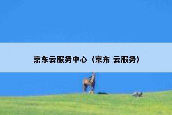 京东云服务中心（京东 云服务） 第1张