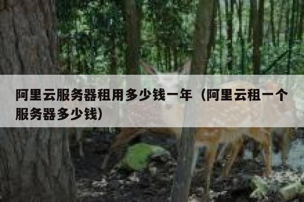 阿里云服务器租用多少钱一年（阿里云租一个服务器多少钱） 第1张
