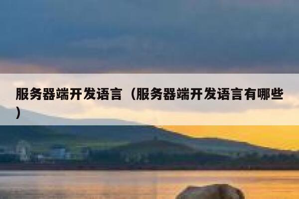 服务器端开发语言（服务器端开发语言有哪些） 第1张
