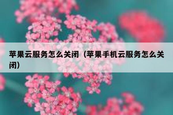 苹果云服务怎么关闭（苹果手机云服务怎么关闭） 第1张