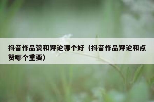 抖音作品赞和评论哪个好（抖音作品评论和点赞哪个重要） 第1张