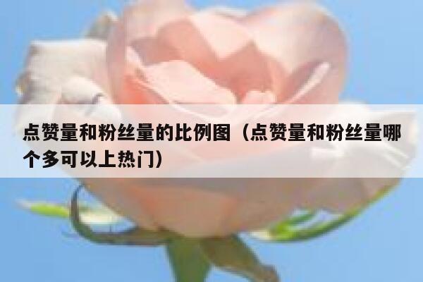 点赞量和粉丝量的比例图（点赞量和粉丝量哪个多可以上热门） 第1张