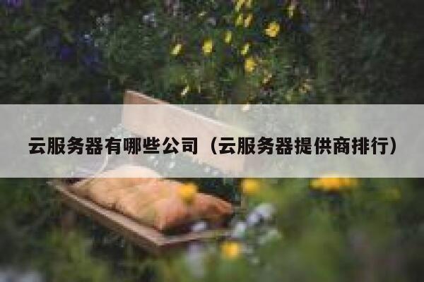 云服务器有哪些公司（云服务器提供商排行） 第1张