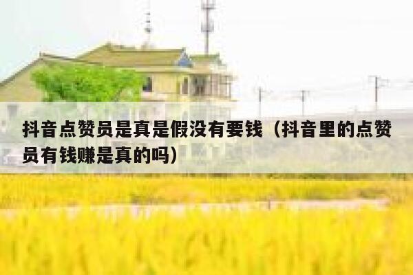 抖音点赞员是真是假没有要钱（抖音里的点赞员有钱赚是真的吗） 第1张