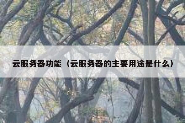 云服务器功能（云服务器的主要用途是什么） 第1张