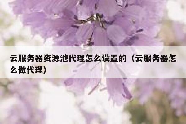 云服务器资源池代理怎么设置的（云服务器怎么做代理） 第1张