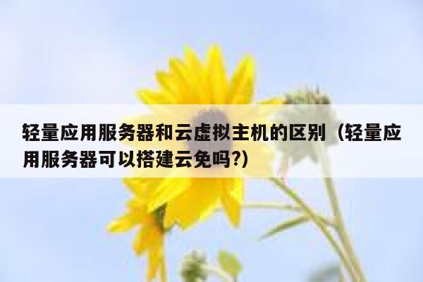 轻量应用服务器和云虚拟主机的区别（轻量应用服务器可以搭建云免吗?） 第1张