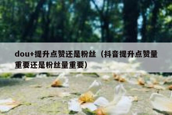 dou+提升点赞还是粉丝（抖音提升点赞量重要还是粉丝量重要） 第1张