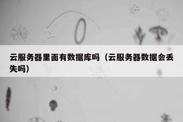 云服务器里面有数据库吗(云服务器数据会丢失吗) 第1张 云服务器里面有数据库吗(云服务器数据会丢失吗) 第1张