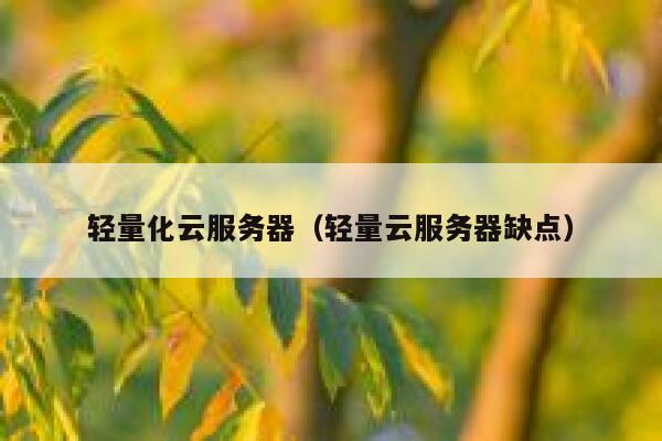 轻量化云服务器(轻量云服务器缺点) 第1张 轻量化云服务器(轻量云服务器缺点) 第1张
