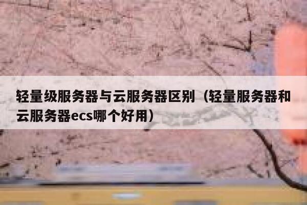 轻量级服务器与云服务器区别（轻量服务器和云服务器ecs哪个好用） 第1张