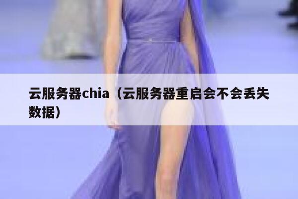 云服务器chia（云服务器重启会不会丢失数据） 第1张