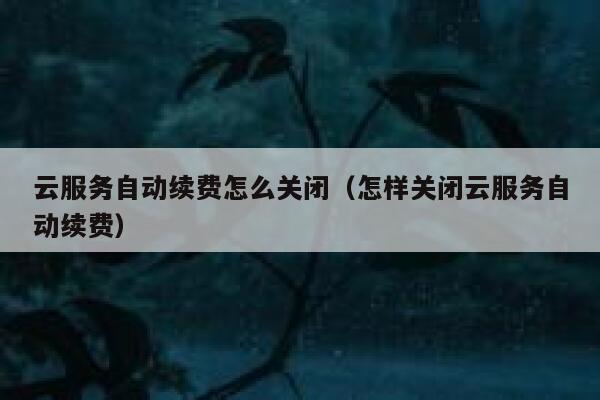 云服务自动续费怎么关闭(怎样关闭云服务自动续费) 第1张 云服务自动续费怎么关闭(怎样关闭云服务自动续费) 第1张