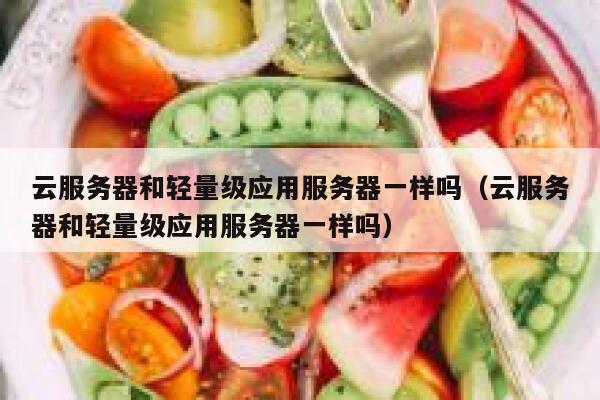 云服务器和轻量级应用服务器一样吗(云服务器和轻量级应用服务器一样吗) 第1张 云服务器和轻量级应用服务器一样吗(云服务器和轻量级应用服务器一样吗) 第1张
