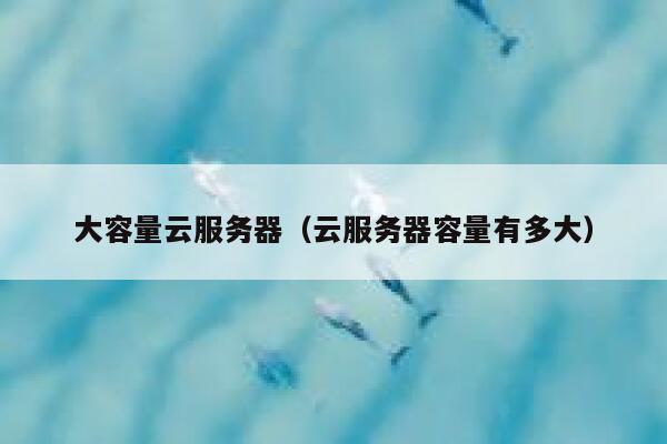 大容量云服务器（云服务器容量有多大） 第1张