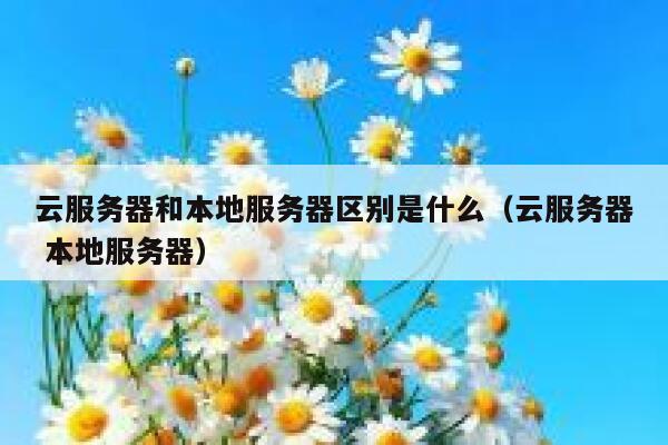 云服务器和本地服务器区别是什么（云服务器 本地服务器） 第1张