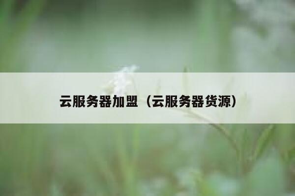 云服务器加盟（云服务器货源） 第1张