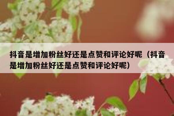 抖音是增加粉丝好还是点赞和评论好呢(抖音是增加粉丝好还是点赞和评论好呢) 第1张 抖音是增加粉丝好还是点赞和评论好呢(抖音是增加粉丝好还是点赞和评论好呢) 第1张
