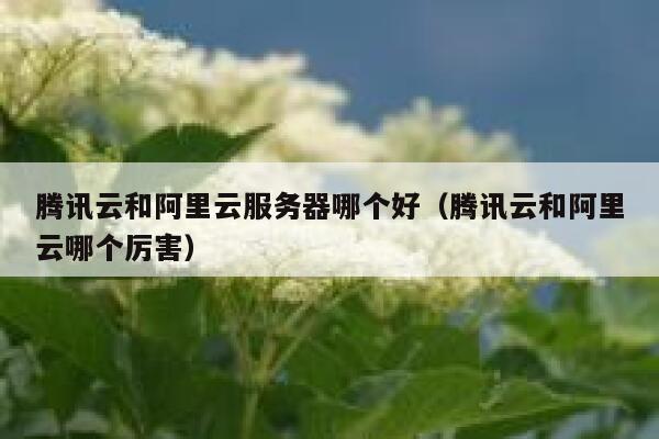 腾讯云和阿里云服务器哪个好(腾讯云和阿里云哪个厉害) 第1张 腾讯云和阿里云服务器哪个好(腾讯云和阿里云哪个厉害) 第1张