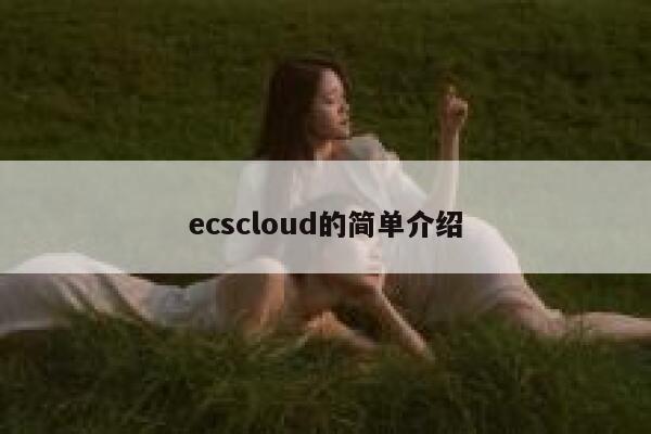 ecscloud的简单介绍 第1张 ecscloud的简单介绍 第1张