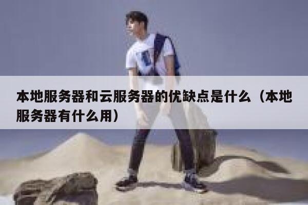 本地服务器和云服务器的优缺点是什么(本地服务器有什么用) 第1张 本地服务器和云服务器的优缺点是什么(本地服务器有什么用) 第1张