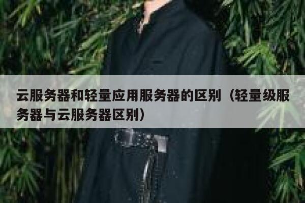 云服务器和轻量应用服务器的区别(轻量级服务器与云服务器区别) 第1张 云服务器和轻量应用服务器的区别(轻量级服务器与云服务器区别) 第1张
