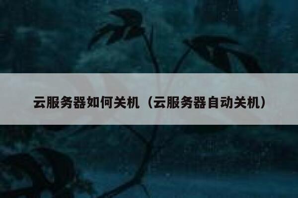 云服务器如何关机(云服务器自动关机) 第1张 云服务器如何关机(云服务器自动关机) 第1张