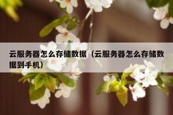 云服务器怎么存储数据(云服务器怎么存储数据到手机) 第1张 云服务器怎么存储数据(云服务器怎么存储数据到手机) 第1张