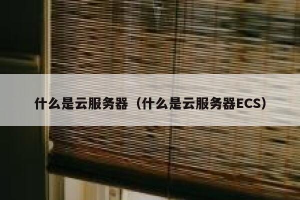 什么是云服务器（什么是云服务器ECS） 第1张