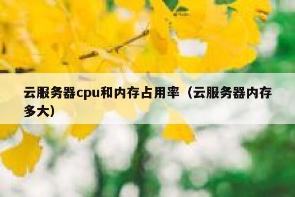 云服务器cpu和内存占用率（云服务器内存多大） 第1张