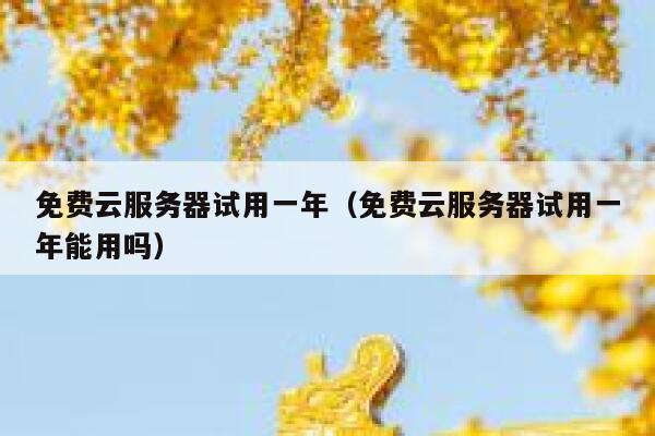 免费云服务器试用一年(免费云服务器试用一年能用吗) 第1张 免费云服务器试用一年(免费云服务器试用一年能用吗) 第1张