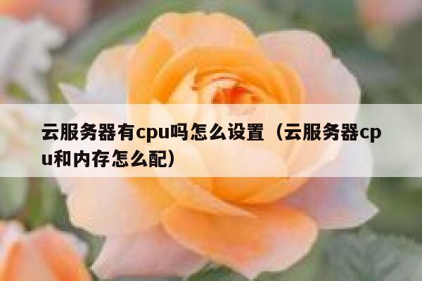 云服务器有cpu吗怎么设置(云服务器cpu和内存怎么配) 第1张 云服务器有cpu吗怎么设置(云服务器cpu和内存怎么配) 第1张