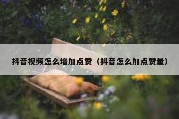 抖音视频怎么增加点赞（抖音怎么加点赞量） 第1张