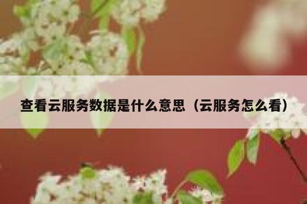 查看云服务数据是什么意思(云服务怎么看) 第1张 查看云服务数据是什么意思(云服务怎么看) 第1张