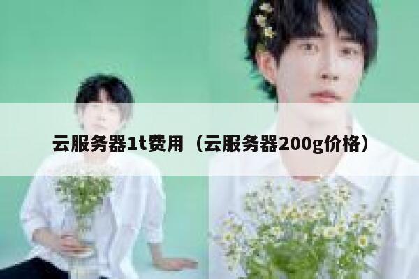 云服务器1t费用（云服务器200g价格） 第1张