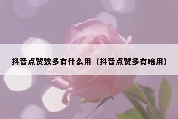 抖音点赞数多有什么用(抖音点赞多有啥用) 第1张 抖音点赞数多有什么用(抖音点赞多有啥用) 第1张