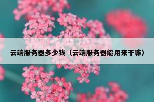 云端服务器多少钱（云端服务器能用来干嘛） 第1张