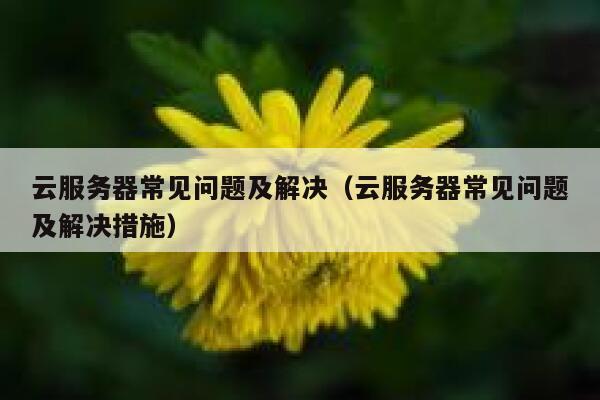 云服务器常见问题及解决(云服务器常见问题及解决措施) 第1张 云服务器常见问题及解决(云服务器常见问题及解决措施) 第1张