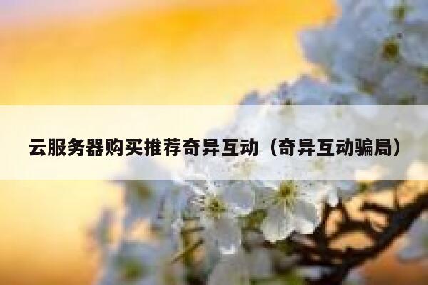 云服务器购买推荐奇异互动（奇异互动骗局） 第1张