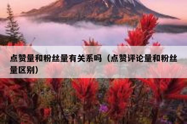 点赞量和粉丝量有关系吗（点赞评论量和粉丝量区别） 第1张