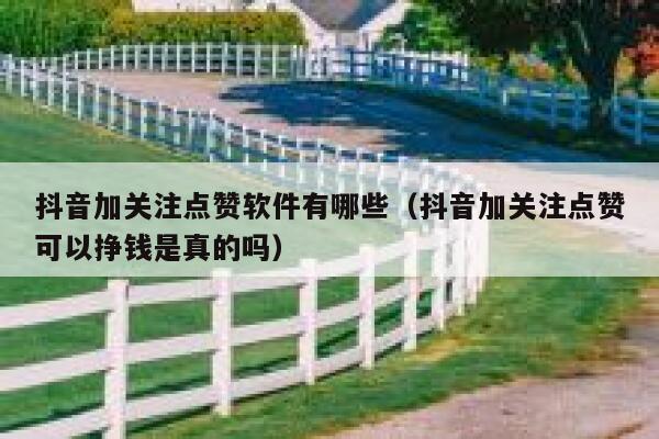 抖音加关注点赞软件有哪些(抖音加关注点赞可以挣钱是真的吗) 第1张 抖音加关注点赞软件有哪些(抖音加关注点赞可以挣钱是真的吗) 第1张