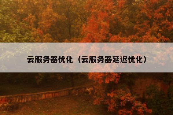云服务器优化(云服务器延迟优化) 第1张 云服务器优化(云服务器延迟优化) 第1张