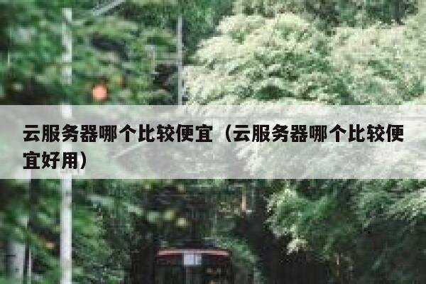 云服务器哪个比较便宜(云服务器哪个比较便宜好用) 第1张 云服务器哪个比较便宜(云服务器哪个比较便宜好用) 第1张