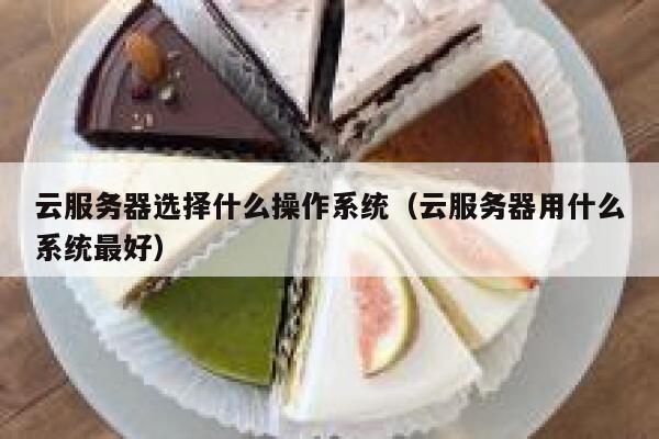云服务器选择什么操作系统（云服务器用什么系统最好） 第1张