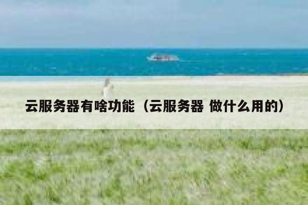 云服务器有啥功能（云服务器 做什么用的） 第1张