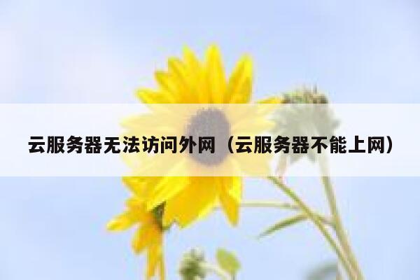 云服务器无法访问外网（云服务器不能上网） 第1张