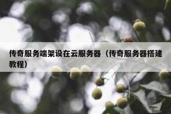 传奇服务端架设在云服务器（传奇服务器搭建教程） 第1张